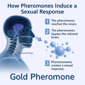בושם פרומונים לנשים שמעצים משיכה טבעית |FM 34 PHEROMONE 